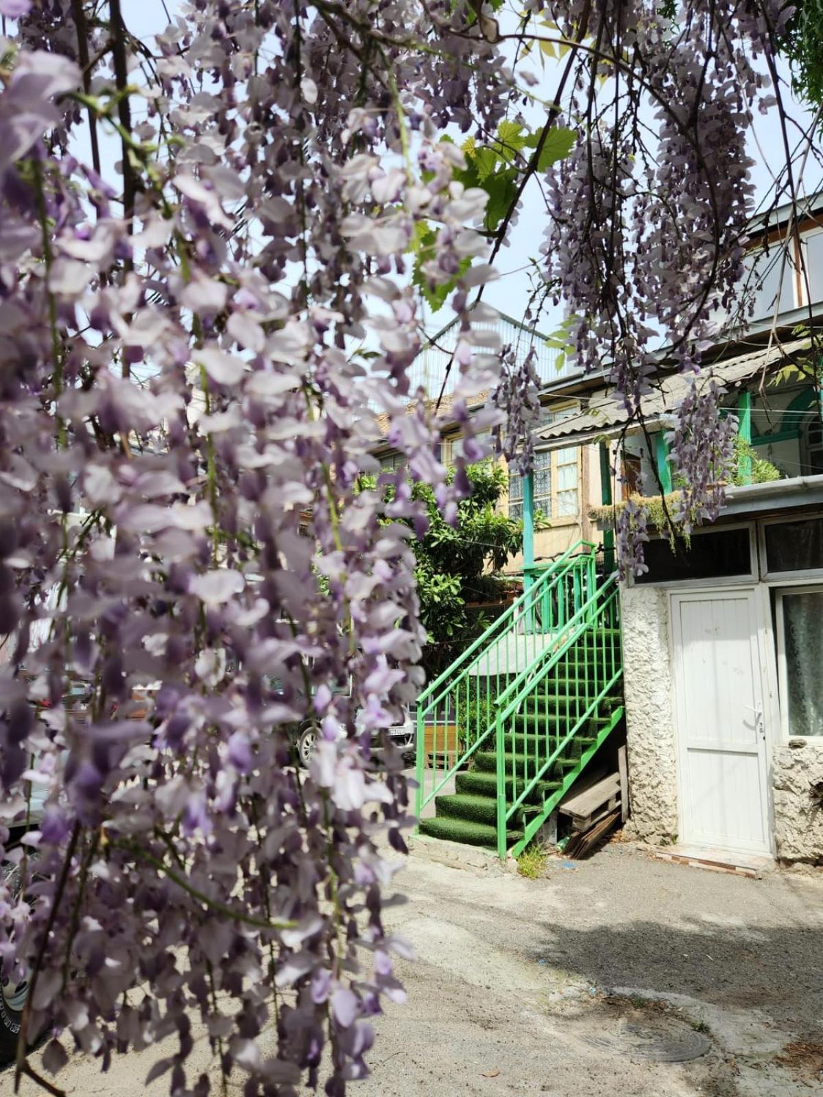 第比利斯 绿色楼梯旅馆酒店 外观 照片